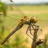 Januar: Euer Foto des Tages! - Bild 9