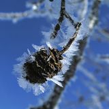 Januar: Euer Foto des Tages! - Bild 11