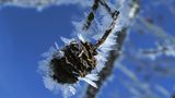 Januar: Euer Foto des Tages! - Bild 11