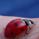 Januar: Euer Foto des Tages! - Bild 12