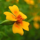 Januar: Euer Foto des Tages! - Bild 13