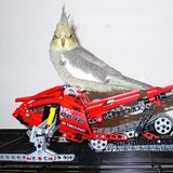 Januar: Euer Foto des Tages! - Bild 14