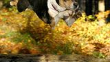 Januar: Euer Foto des Tages! - Bild 15