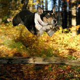 Januar: Euer Foto des Tages! - Bild 15