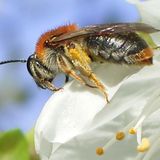 Januar: Euer Foto des Tages! - Bild 16