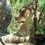 Januar: Euer Foto des Tages! - Bild 18