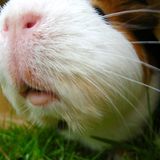 Januar: Euer Foto des Tages! - Bild 21