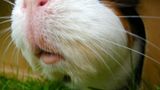 Januar: Euer Foto des Tages! - Bild 21