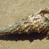 Euer Foto der Woche! - Bild 44