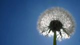 Euer Foto der Woche! - Bild 52