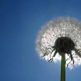 Euer Foto der Woche! - Bild 52