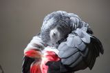 Euer Foto der Woche! - Bild 54