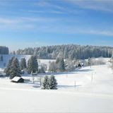 Euer Foto der Woche! - Bild 66