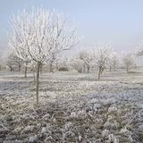 Euer Foto der Woche! - Bild 72