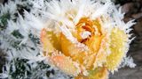 Euer Foto der Woche! - Bild 73