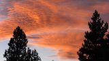 Euer Foto der Woche! - Bild 78