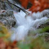 Euer Foto der Woche! - Bild 79