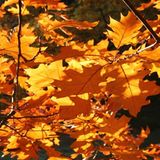 Euer Foto der Woche! - Bild 80