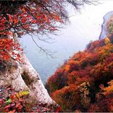 Euer Foto der Woche! - Bild 81