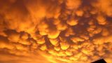 Euer Foto der Woche! - Bild 86
