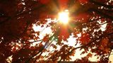 Euer Foto der Woche! - Bild 87