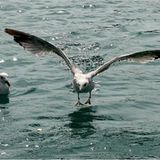 Euer Foto der Woche! - Bild 89