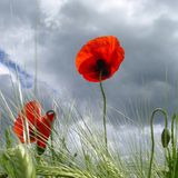 Euer Foto der Woche! - Bild 5