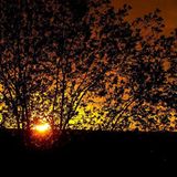 Euer Foto der Woche! - Bild 6