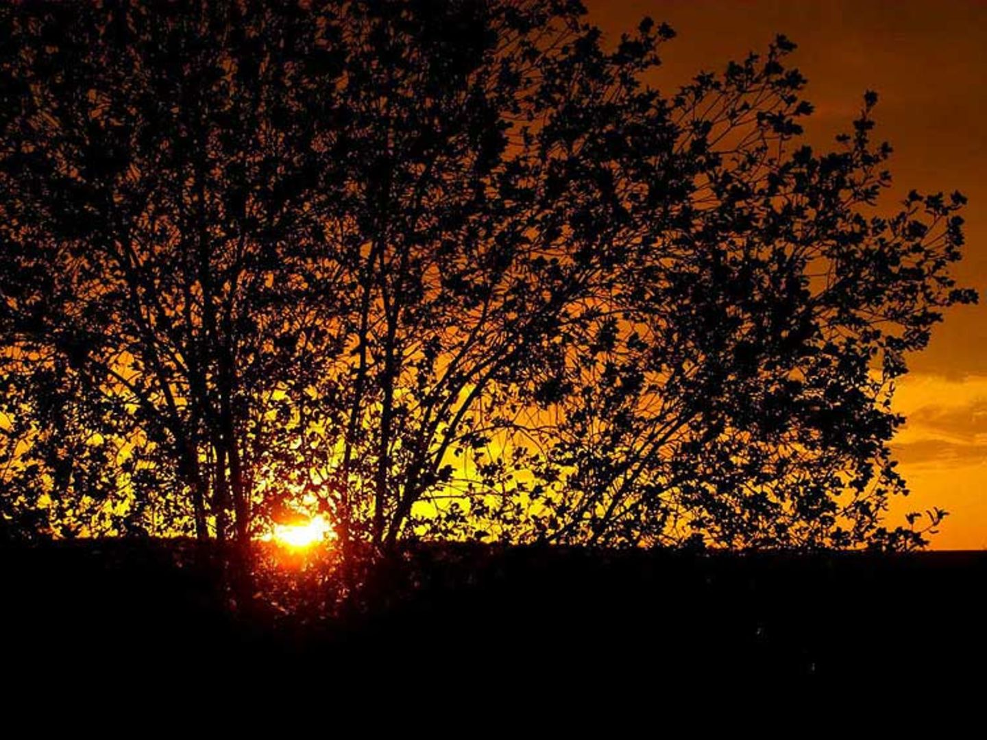 Euer Foto der Woche! - Bild 6