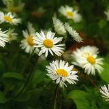 Euer Foto der Woche! - Bild 7