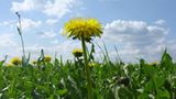 Euer Foto der Woche! - Bild 9