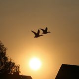 Euer Foto der Woche! - Bild 10