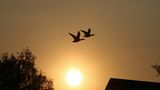 Euer Foto der Woche! - Bild 10
