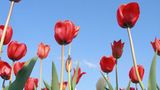 Euer Foto der Woche! - Bild 11