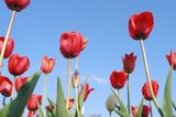 Euer Foto der Woche! - Bild 11