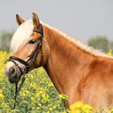 Euer Foto der Woche! - Bild 12