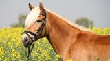 Euer Foto der Woche! - Bild 12