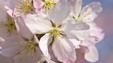 Euer Foto der Woche! - Bild 13