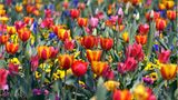 Euer Foto der Woche! - Bild 14