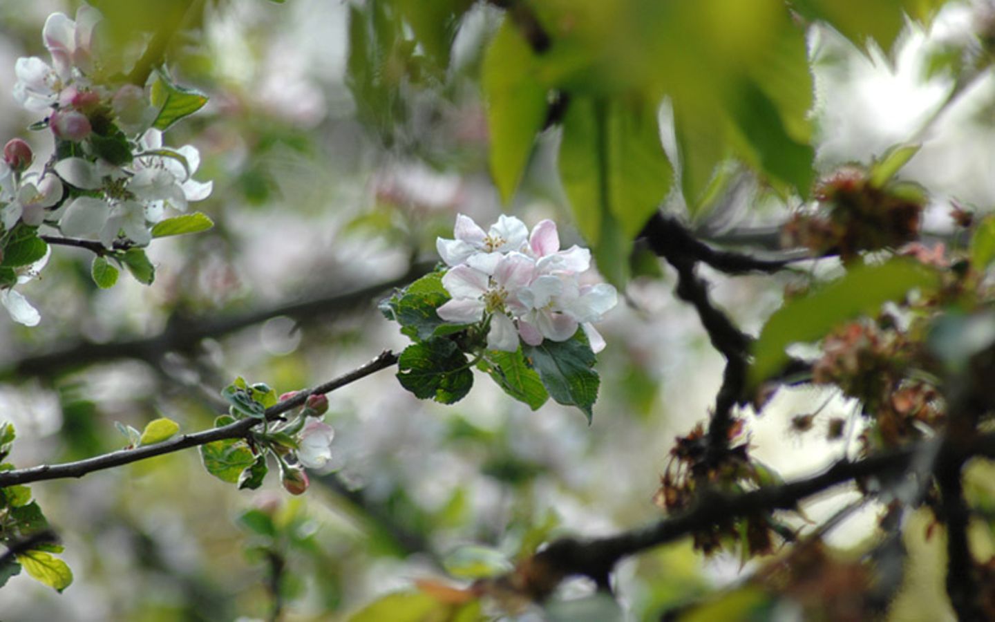 Euer Foto der Woche! - Bild 16
