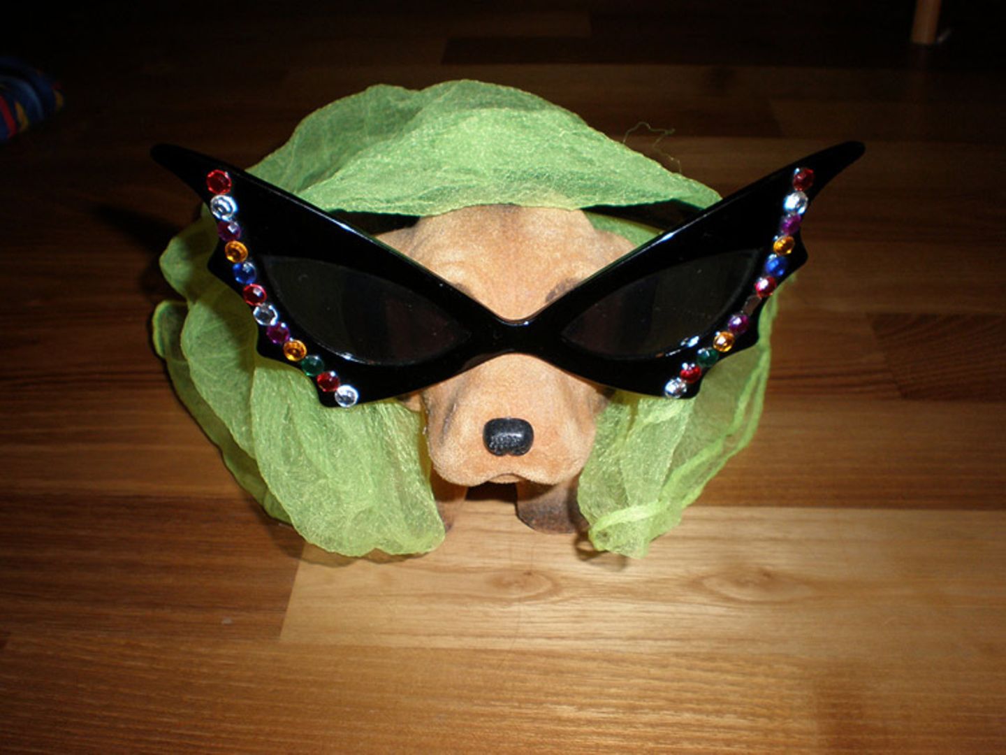 Euer Foto der Woche! - Bild 20