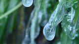 Euer Foto der Woche! - Bild 25