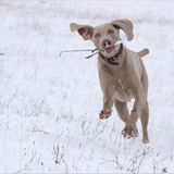 Euer Foto der Woche! - Bild 29