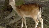 Euer Foto der Woche! - Bild 32