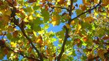Euer Foto der Woche! - Bild 33