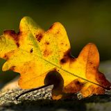 Euer Foto der Woche! - Bild 38