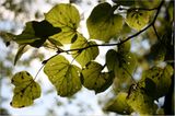 Euer Foto der Woche! - Bild 39