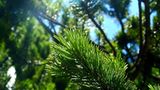 Euer Foto der Woche! - Bild 40