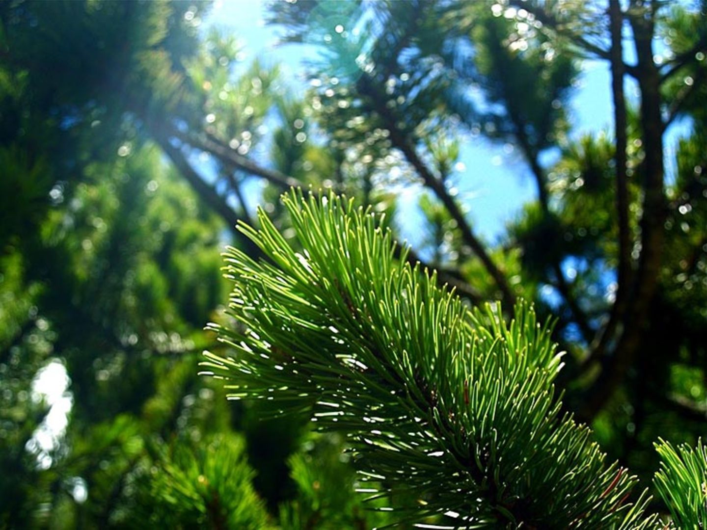 Euer Foto der Woche! - Bild 40