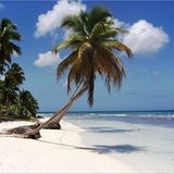 Euer Foto der Woche! - Bild 48